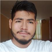 Profesor en lenguajes de programación (Python y C )